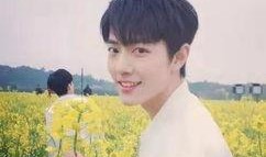 圈内人爆料杨紫肖战澄清,圈内人爆料真相揭晓